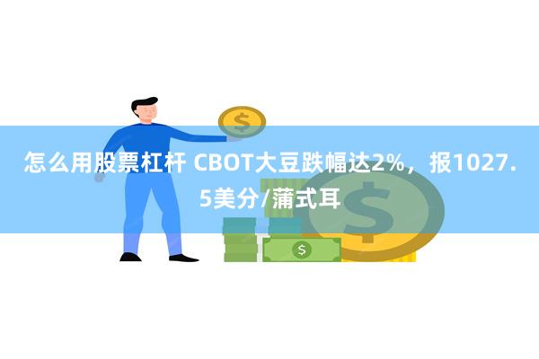 怎么用股票杠杆 CBOT大豆跌幅达2%，报1027.5美分/蒲式耳