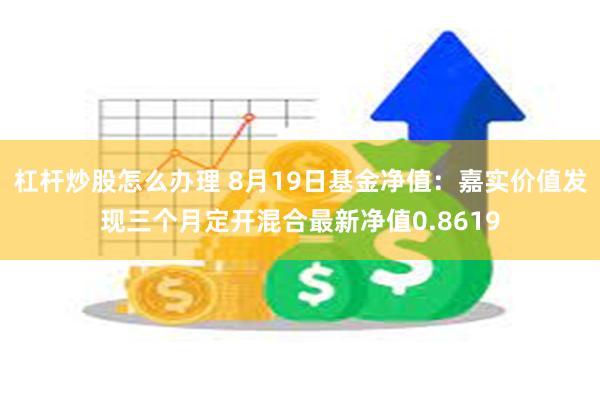 杠杆炒股怎么办理 8月19日基金净值：嘉实价值发现三个月定开混合最新净值0.8619