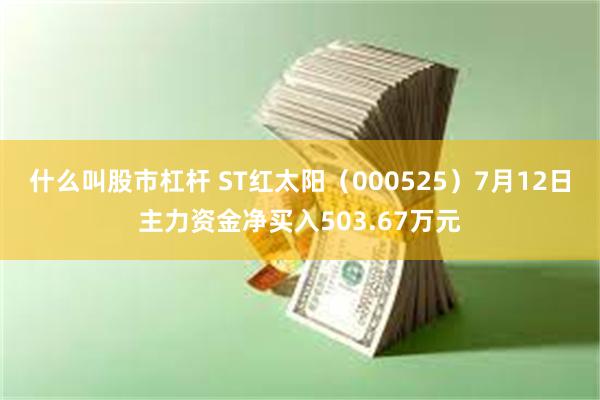 什么叫股市杠杆 ST红太阳（000525）7月12日主力资金净买入503.67万元