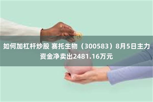 如何加杠杆炒股 赛托生物（300583）8月5日主力资金净卖出2481.16万元