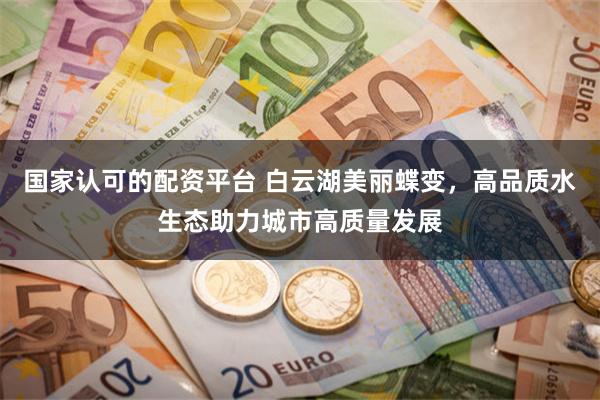 国家认可的配资平台 白云湖美丽蝶变，高品质水生态助力城市高质量发展