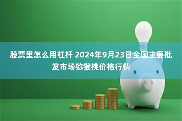 股票里怎么用杠杆 2024年9月23日全国主要批发市场猕猴桃价格行情