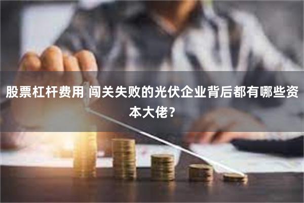 股票杠杆费用 闯关失败的光伏企业背后都有哪些资本大佬？