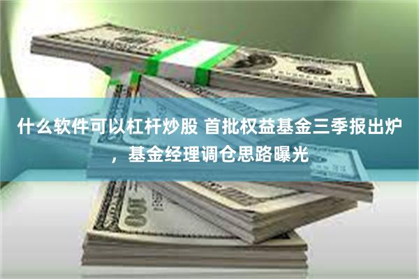 什么软件可以杠杆炒股 首批权益基金三季报出炉，基金经理调仓思路曝光