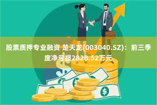 股票质押专业融资 楚天龙(003040.SZ)：前三季度净亏损2828.52万元