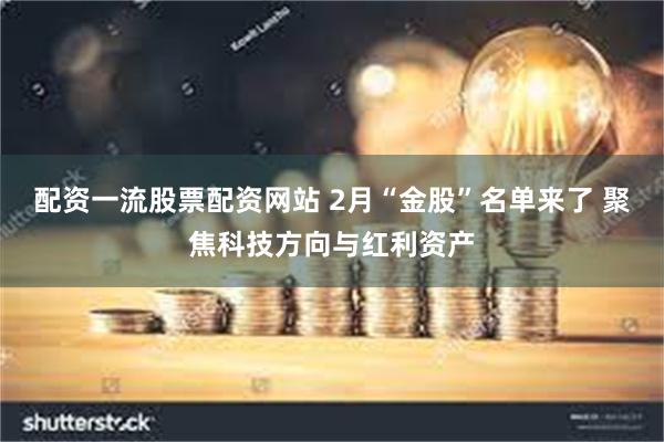 配资一流股票配资网站 2月“金股”名单来了 聚焦科技方向与红利资产