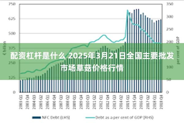 配资杠杆是什么 2025年3月21日全国主要批发市场草菇价格行情